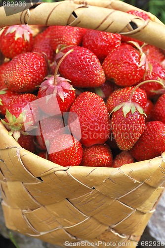 Image of basket of the strawberries