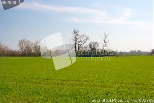 Image of Field