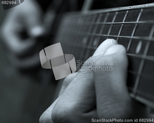 Image of Guitarist