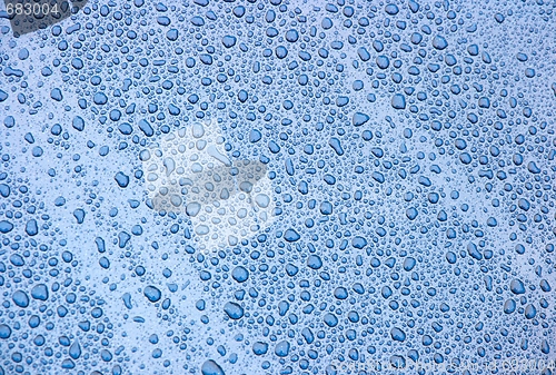 Image of Droplets