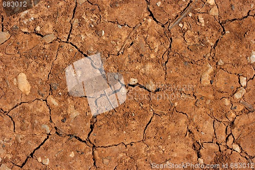 Image of Soil