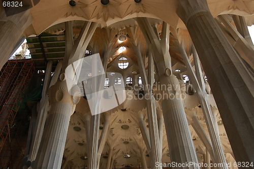 Image of Inside of Sagrada Familia church, Barcelona, Spain