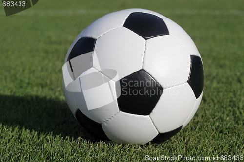 Image of soccer ball on grass