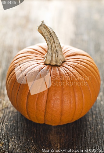 Image of Pumpkin