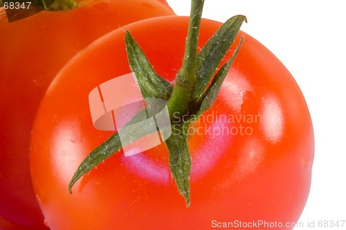Image of Tomatoes isolated on white with clipping path