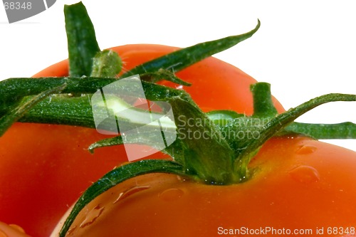 Image of Tomatoes isolated on white with clipping path