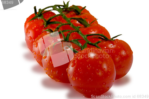 Image of Tomatoes isolated on white with clipping path