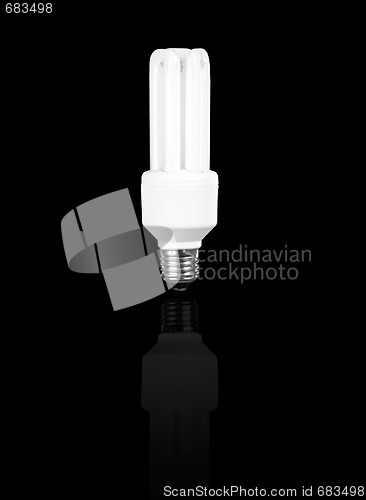 Image of Fluorescent Light Bulb