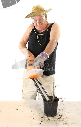 Image of Gardener With Hedge Trimmer