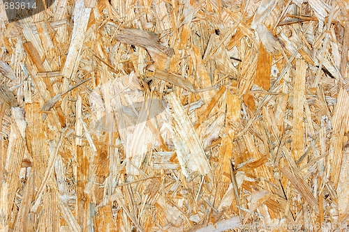 Image of Texture