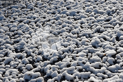 Image of Snow on ground