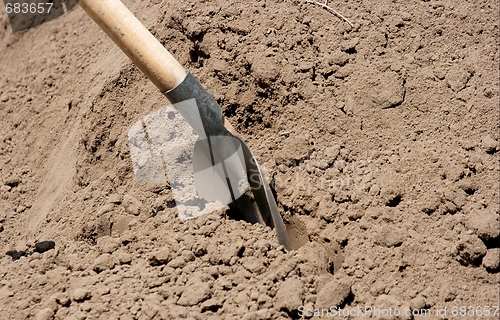 Image of Shovel