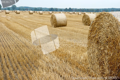 Image of Haybails