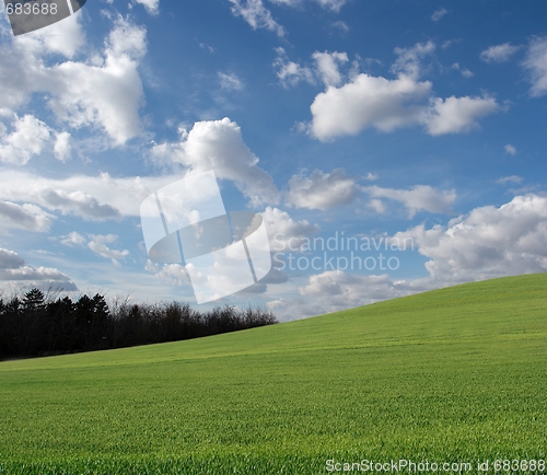 Image of Field