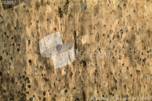 Image of Texture