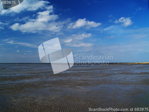 Image of low tide tideland