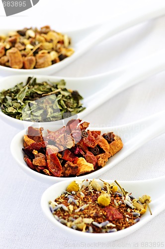 Image of Assorted herbal wellness dry tea in spoons