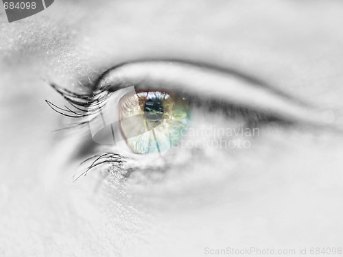 Image of Eye macro