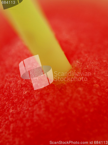 Image of Straw closeup