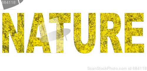 Image of Nature font