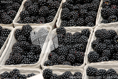 Image of Blackberries