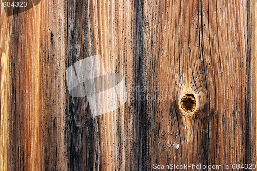 Image of Wood