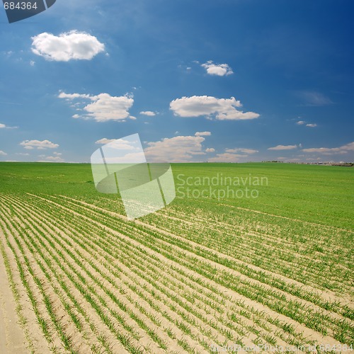 Image of Field