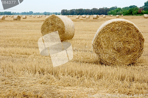 Image of Haystacks
