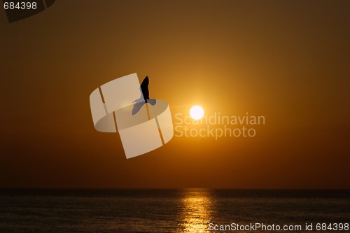 Image of Sunset