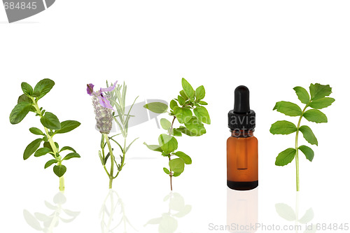 Image of Healing Herbs