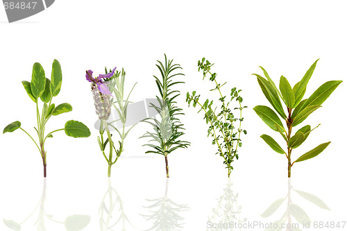 Image of Herb Leaf Selection