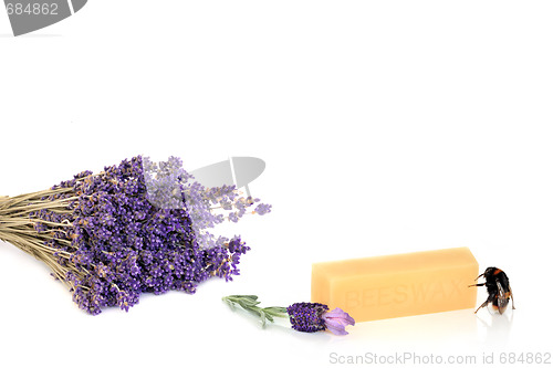 Image of Lavender Herb Flower Products