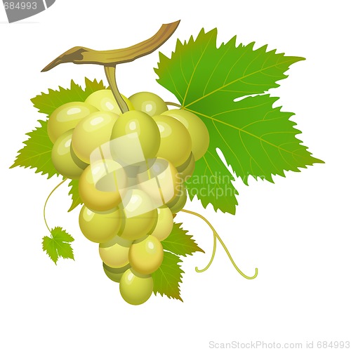 Image of White grape