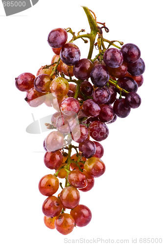 Image of Grapes isolated on white background
