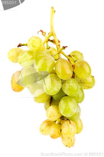 Image of Grapes isolated on white background