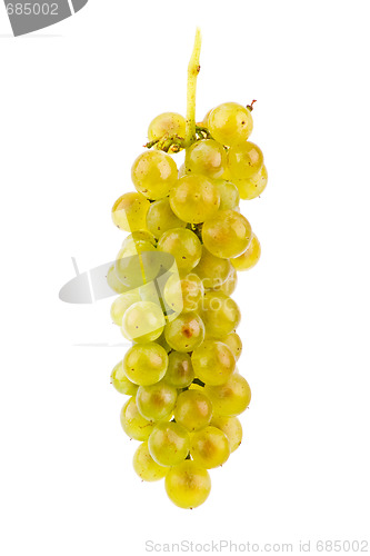 Image of Grapes isolated on white background