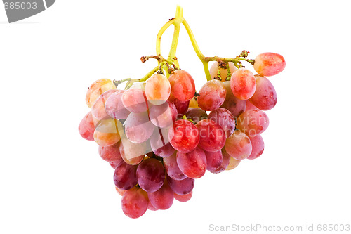 Image of Grapes isolated on white background