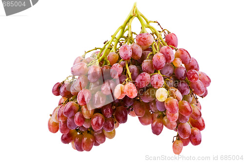 Image of Grapes isolated on white background