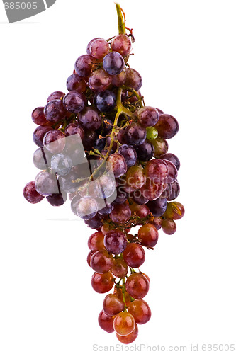 Image of Grapes isolated on white background