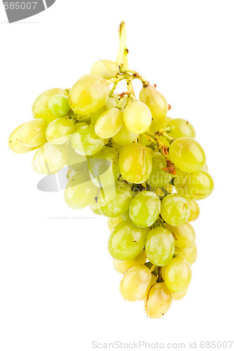 Image of Green grapes isolated on white background