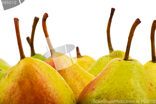 Image of Pears closeup on white background