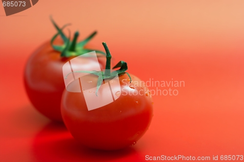 Image of Tomatos