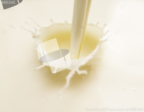 Image of milk splash