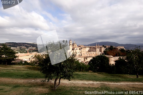 Image of URBINO