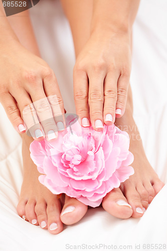 Image of beautiful feet and hands