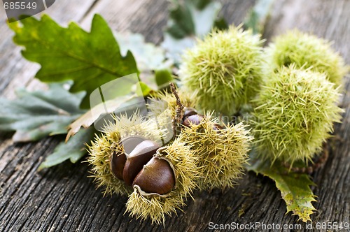 Image of Chestnuts