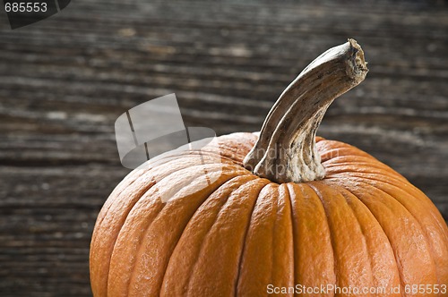 Image of Pumpkin