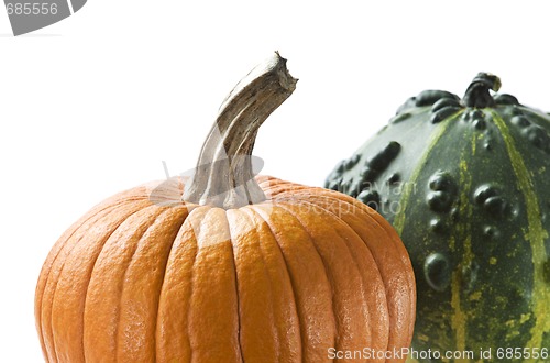 Image of Pumpkin