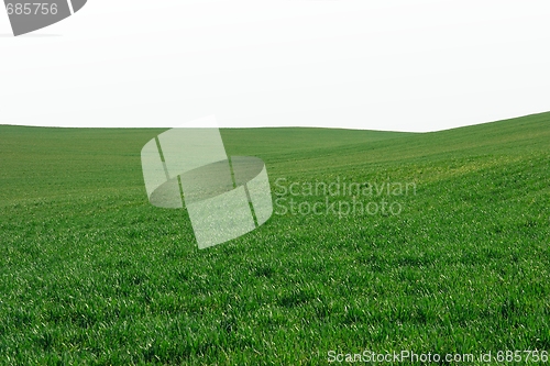 Image of Field