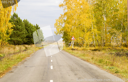 Image of autumn road